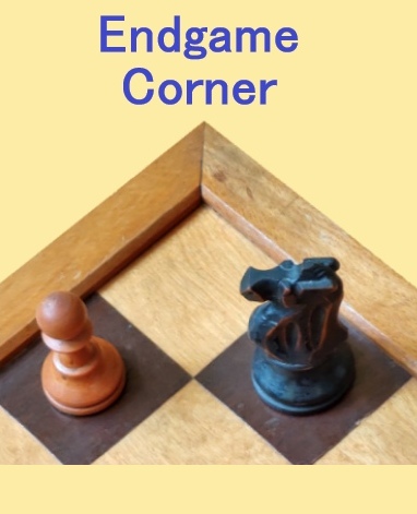 Must i develop my Bishop on my next move? - Chess Forums 