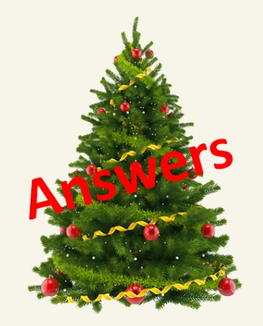 Dorset Junior Christmas Quiz – Answers